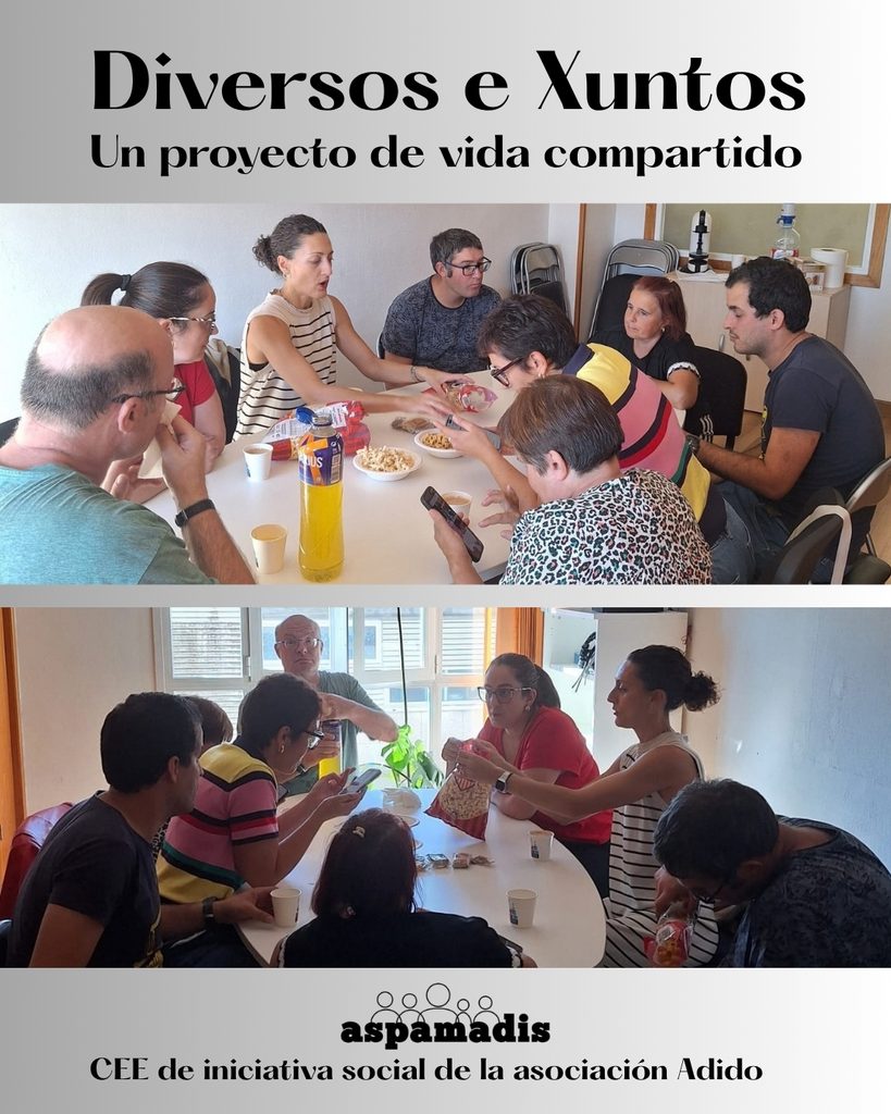 VERTICALES (1)
